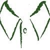 St Croix Cleaners Logo