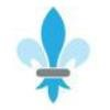 St Matthews Healthcare Logo