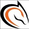 Stallion Express (ON) Logo