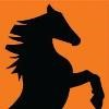 Stallion Oilfield Services Logo