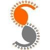 Stan Ventures Logo