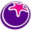 Starberry Logo