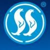 Stein Seal Company Logo