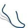 Step Lively Foot & Ankle Centers Logo