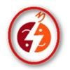 Stepping Stone Solutions Logo