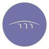 Sterling Bridge Logo