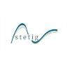 Stetig Consulting Logo