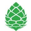 Stio Logo