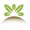 Stone Gate Foods Logo