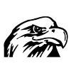 Storm Team Construction Logo