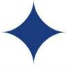 Strategic Business Insights Logo