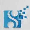 Strategic Network Solutions Logo