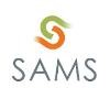 Strategy and Management Services Logo