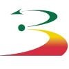 Strategy Management Group Logo