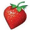 StrawberryNet Logo