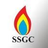 Sui Southern Gas Logo