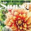 Sunset Magazine Logo