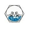 Swan Enterprises Logo