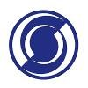 SWAP Internal Audit Services Logo
