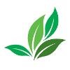 Sylvite Logo