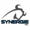 Synergie Quebec Logo