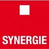 Synergie Suisse Logo