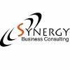Synergy Business Consulting Logo