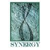 Synergy Computer Solutions Logo