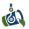 Synergy Green Industries Logo