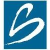 Synergy Services Logo