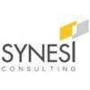 Synesi Consulting Logo