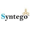 Syntego Solutions Logo