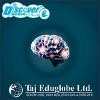 Taj Eduglobe Logo