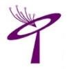 Talent Telecom Solutions Logo