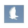 Talon Air Logo
