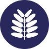 Tamarindo Communications Logo