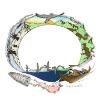 Tanana Chiefs Conference Logo