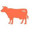 Tayloe Gray Kristof Logo