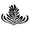 Taylor St Baristas Logo
