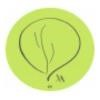 Teaching Tree Logo