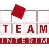 Team Interim Logo