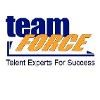 teamFORCE Logo