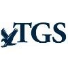 Tech USA Government Solutions Logo