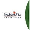 Techbridge Networks Logo