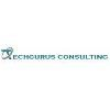 TECHGURUS CONSULTING Logo