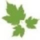 Techlet Solutions Logo