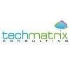 TechMatrix Consulting Logo