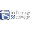 Technology and Strategy Logo