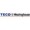 TECO-Westinghouse Logo