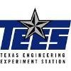 TEES Logo